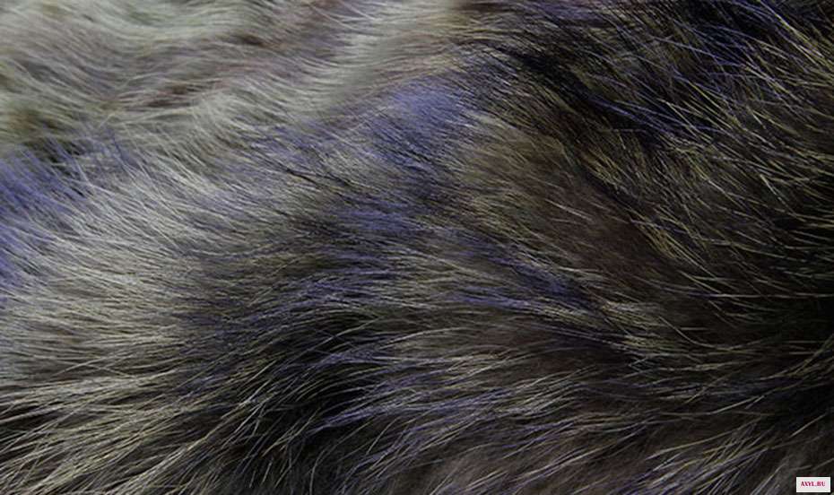 Hooded Fur parka (16)