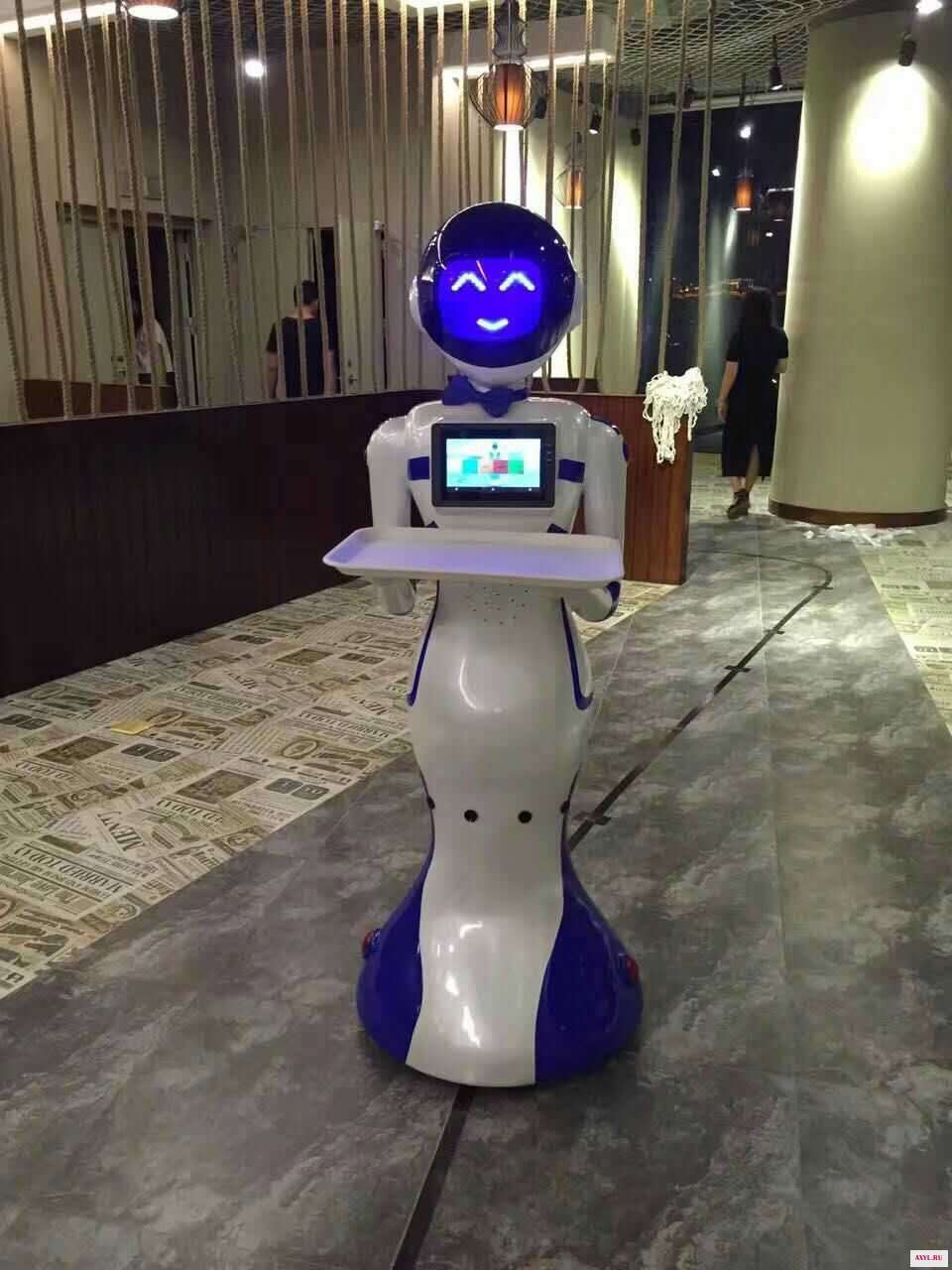 1131