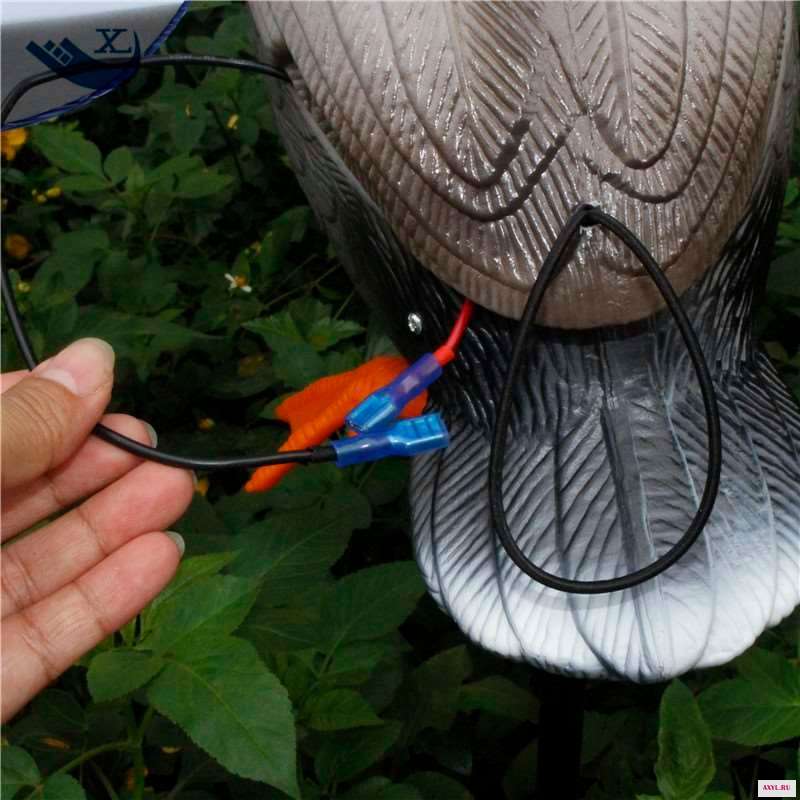 Duck Hunting (20)