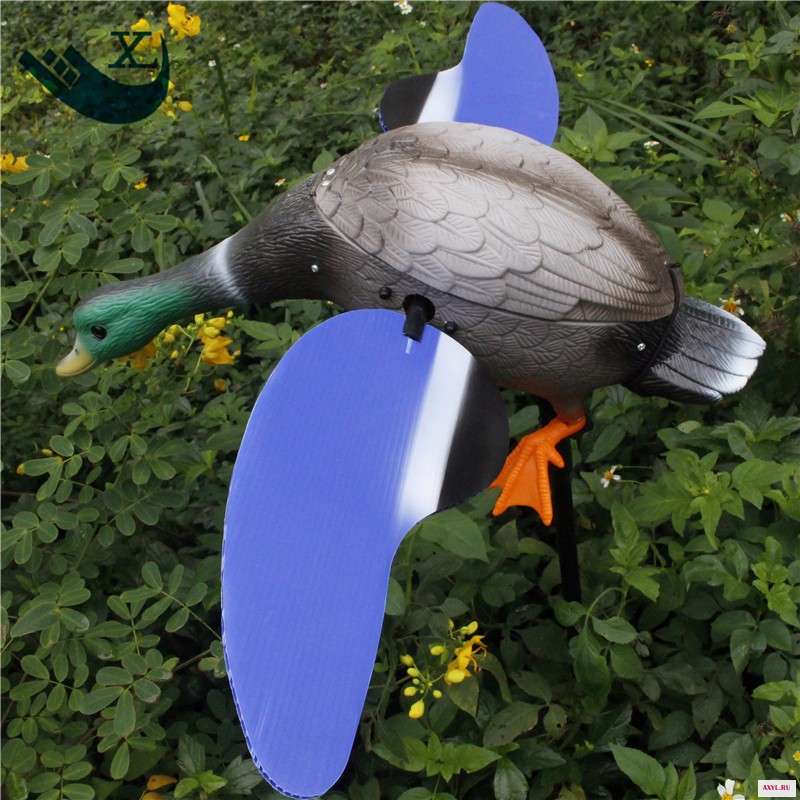 duck decoy (19)