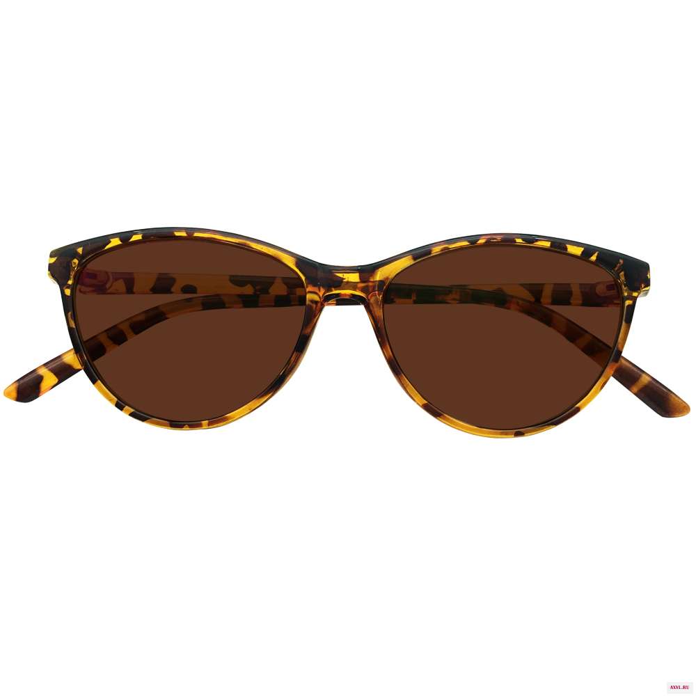 G20592_86_TINTEDBROWN_MAIN2