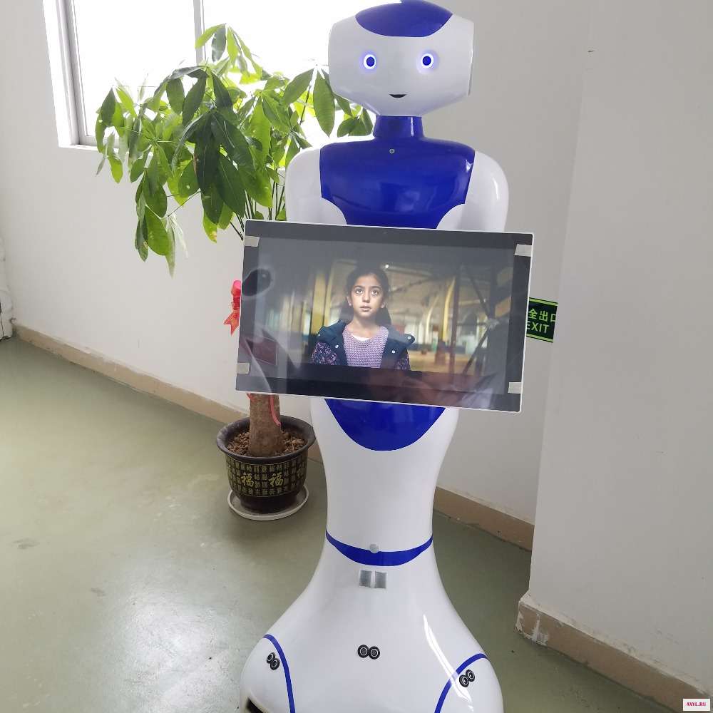 humanoid-intelligent-robot-robot-manufacturing-companies