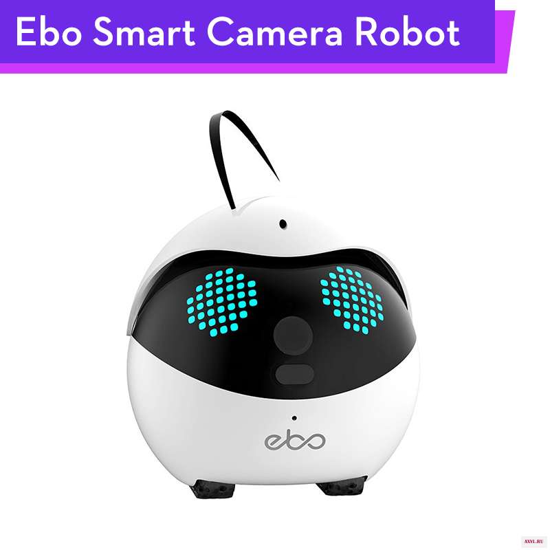 Ebo Catpal Smart Robot 1080P Camera Livestream Photography Video Tracking Record for Cat Pets 6Axis IMU with SONY - Цена: 