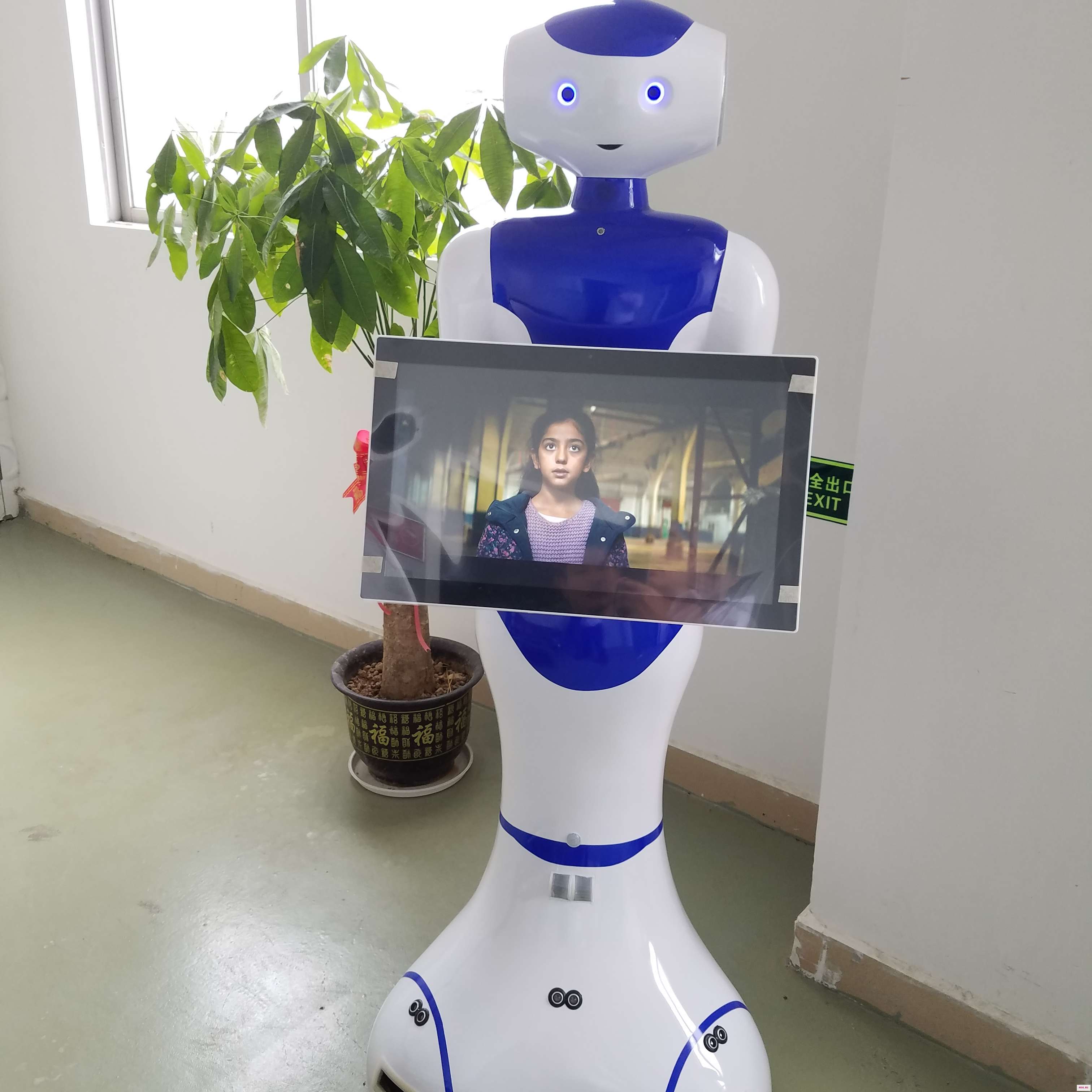 Робот-речевой искусственный интеллект humanoid образовательный - Цена: 