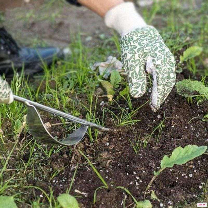 Ручной садовый скребок с деревянной ручкой из нержавеющей стали ручной инструмент для сада съемник