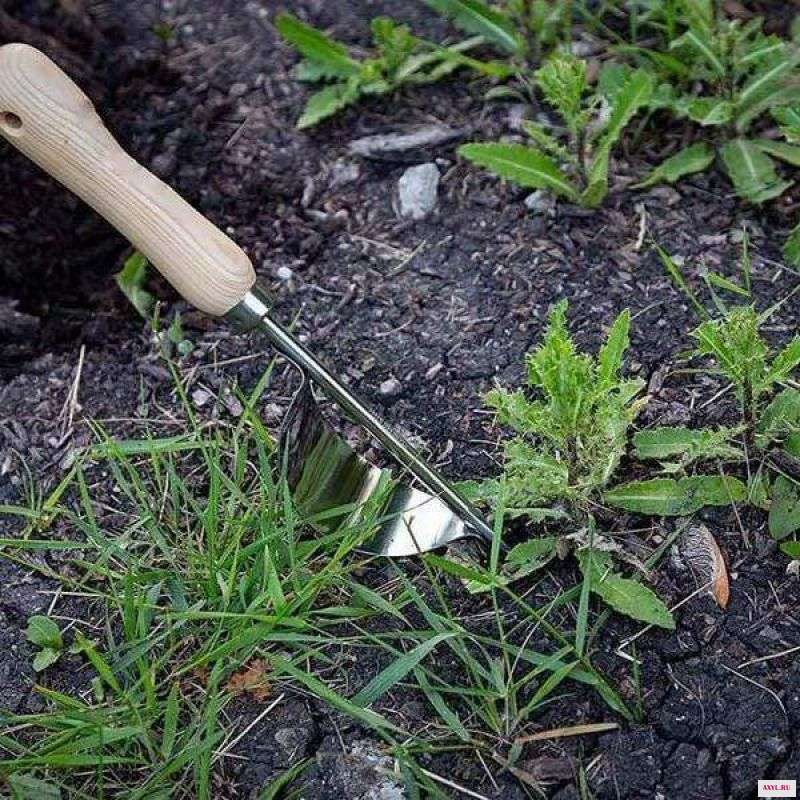 Ручной садовый скребок с деревянной ручкой из нержавеющей стали ручной инструмент для сада съемник