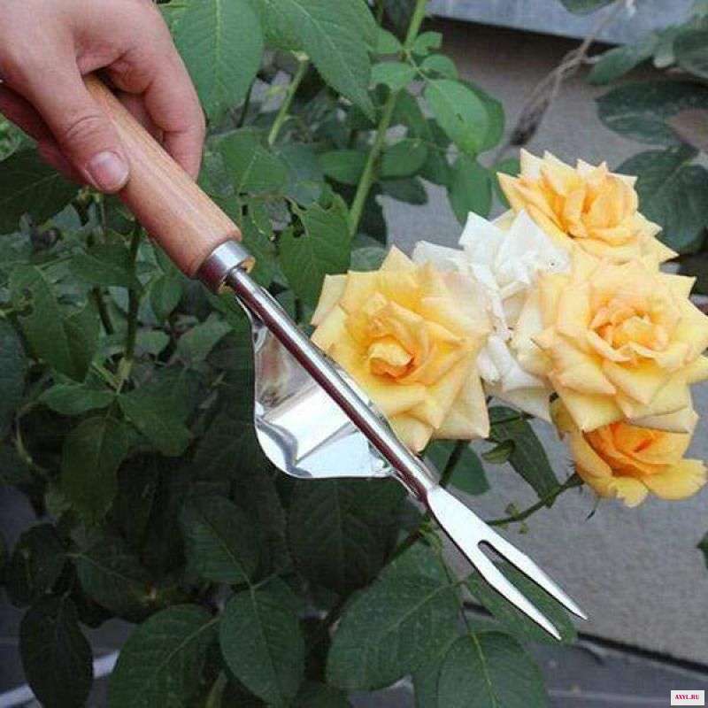 Ручной садовый скребок с деревянной ручкой из нержавеющей стали ручной инструмент для сада съемник