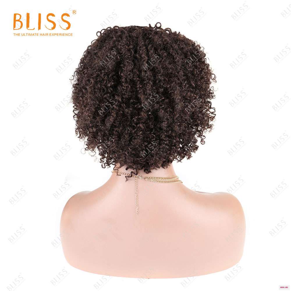 BLISS Короткие афро кудрявые человеческие волосы парики для черных женщин дешевый бразильский парик из букле