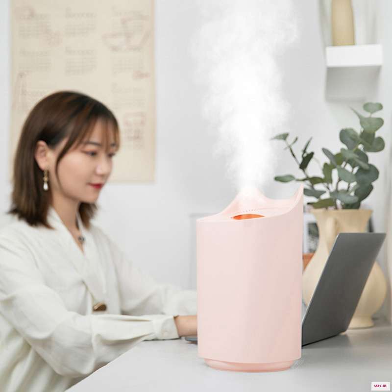 3L USB увлажнитель воздуха с двумя отверстиями ультразвуковой Арома диффузор тумана тем самым позволяя зернам