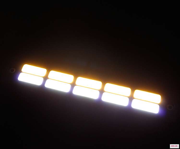 1 (19)