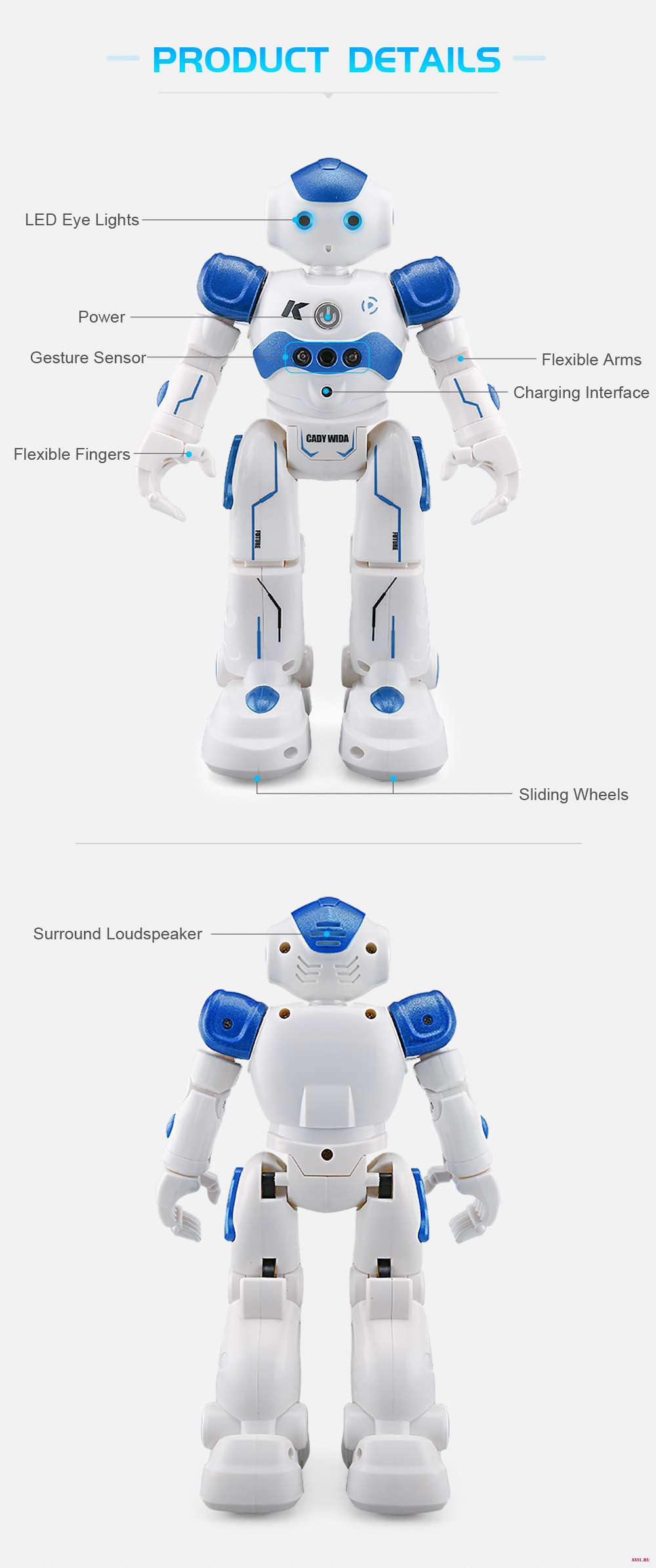 R2-_19