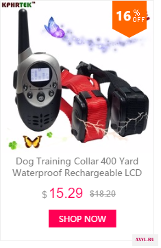 dianxiaobao