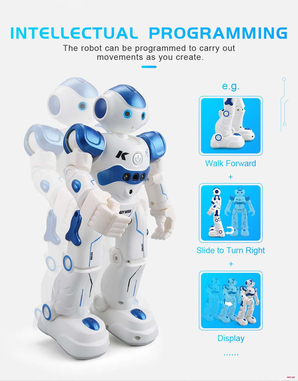 R2-_14
