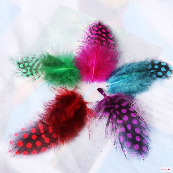 2X 50pcs Colorful Spotted Pretty Guinea Hen Loose Feathers 2.5 -10cm Craft DIY 