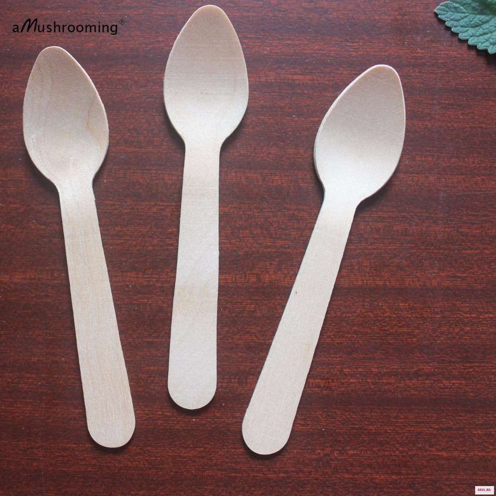 11cm-spoon-main