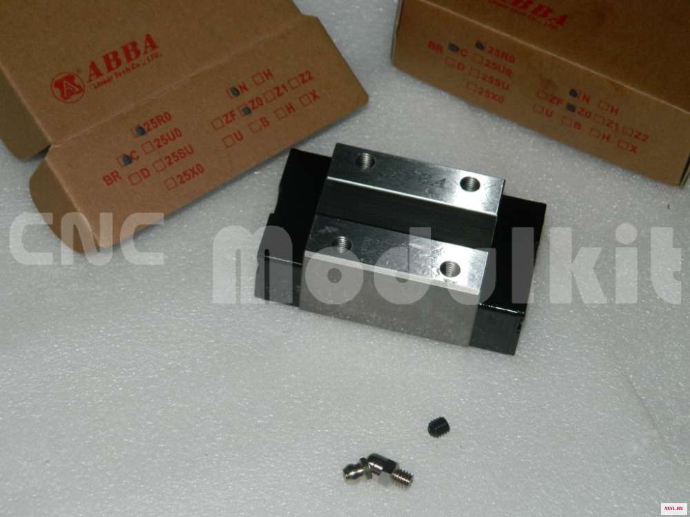 DSCN4243 (Copiar)