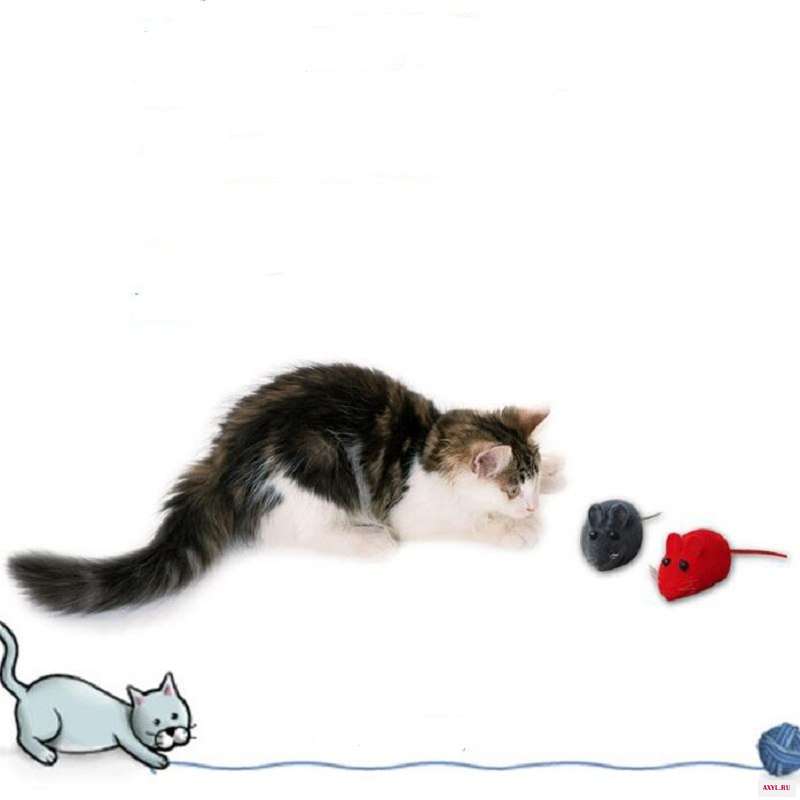 5 шт. MouseToy котенок игрушка для ловли ложная Мышь Крыса писк Шум - Цена: 