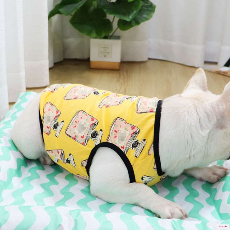 Летняя тонкая жилетка для собак Roupa Cache Orro летняя одежда бульдога мопса дышащая толстых короткий жилет лето